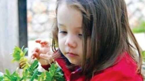  Άρειος Πάγος: Δεκτή η πρόταση αναίρεσης της απόφασης για το θάνατο της μικρής Μελίνας