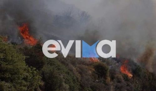  Εύβοια: Φωτιά σε τρία πύρινα μέτωπα στην Κάρυστο
